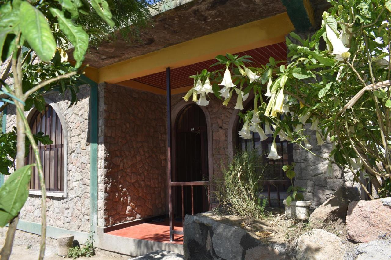 Lalibela Homestay מראה חיצוני תמונה